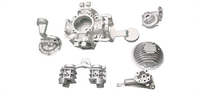 Die-casting part_CLW-DC-06_Auto component